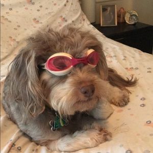 Meet your Posher, Ian